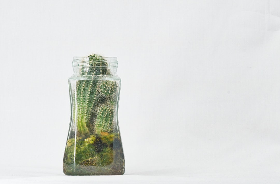 Case Study: Transitioning to a Sustainable Spending Model