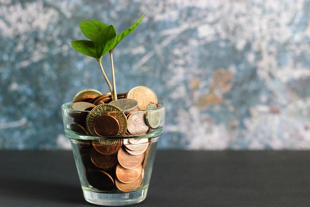 Understanding the Basics of Financial Mindset