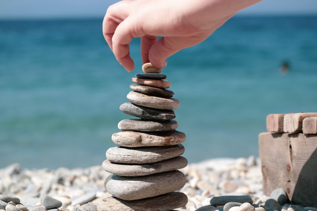 The Role of Mindfulness in Financial Decision-Making